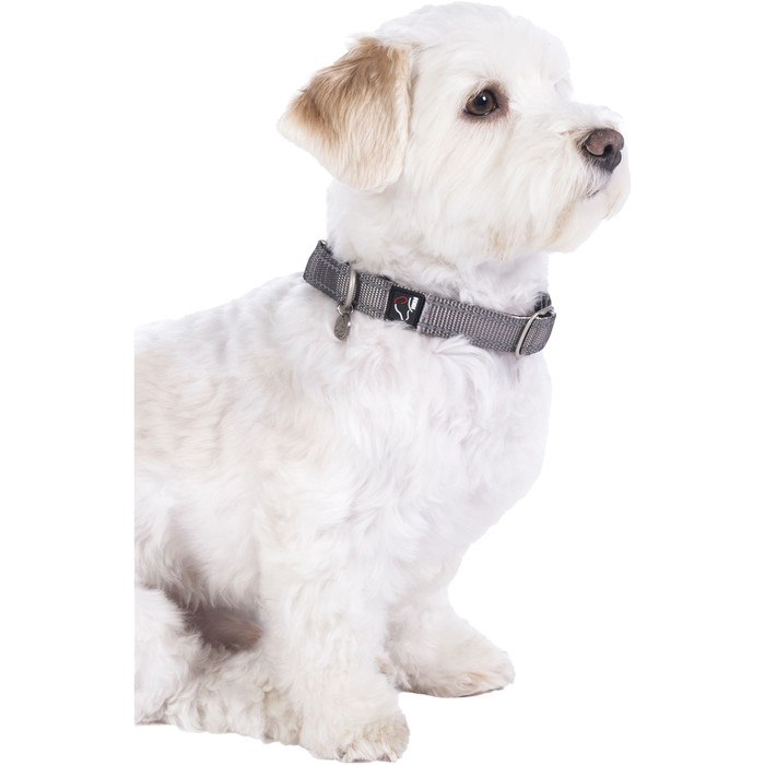 2023 HKM Nylon Dog Collar 13728 - Taupe